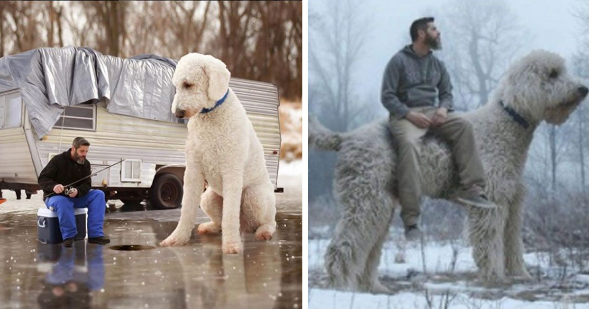 10+ Super Strange Animals You May Never See In Your Lifetime