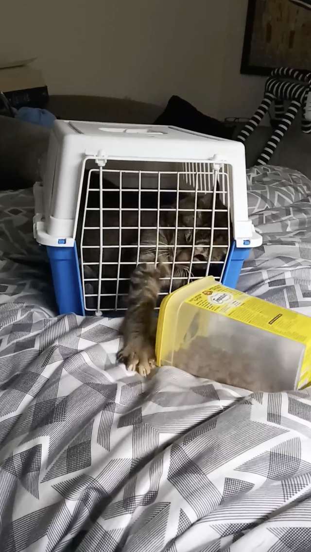 Cat and her dad have the sweetest reunion at nursing home