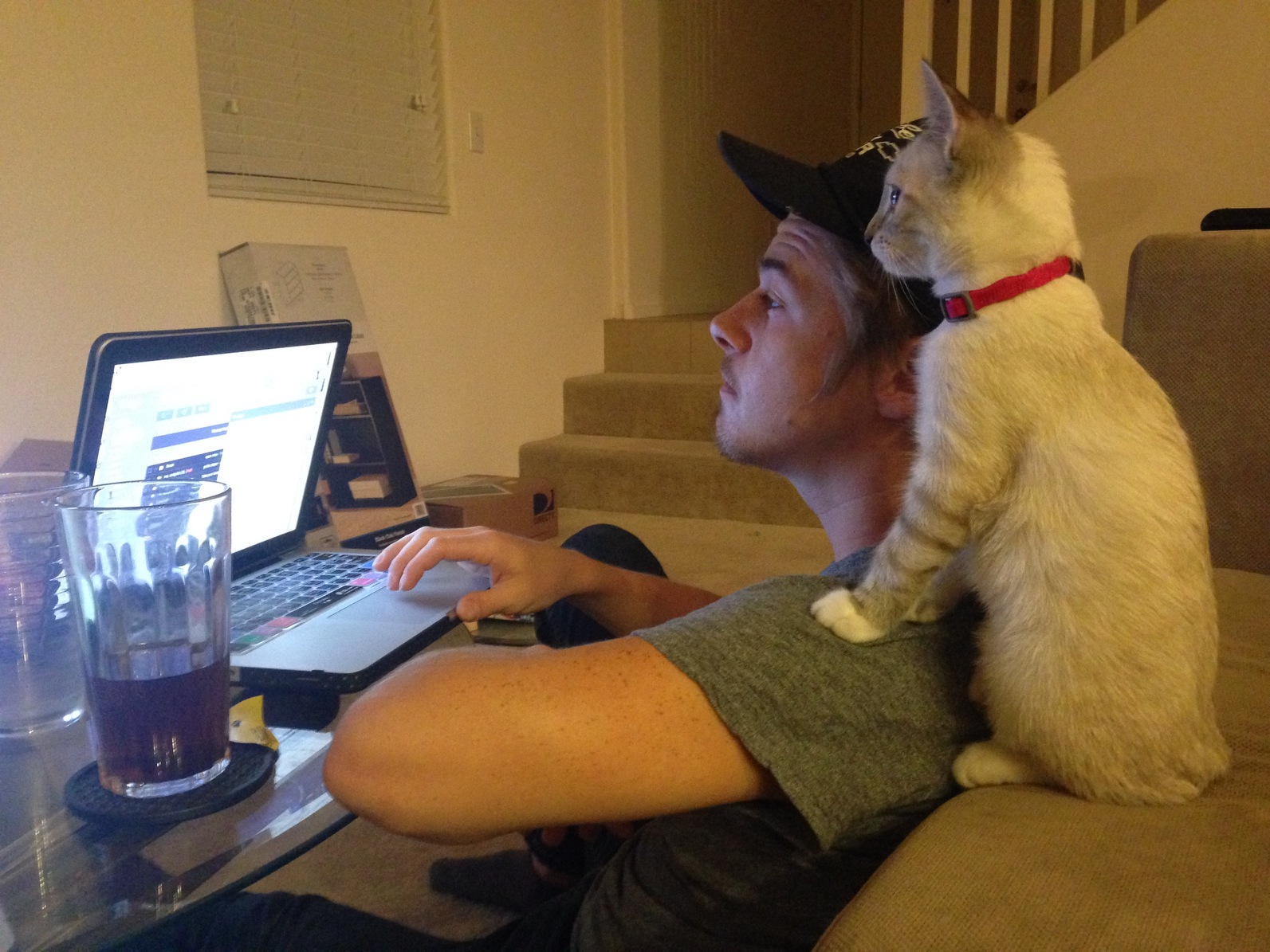 Funny Pets Behaving Like Humans