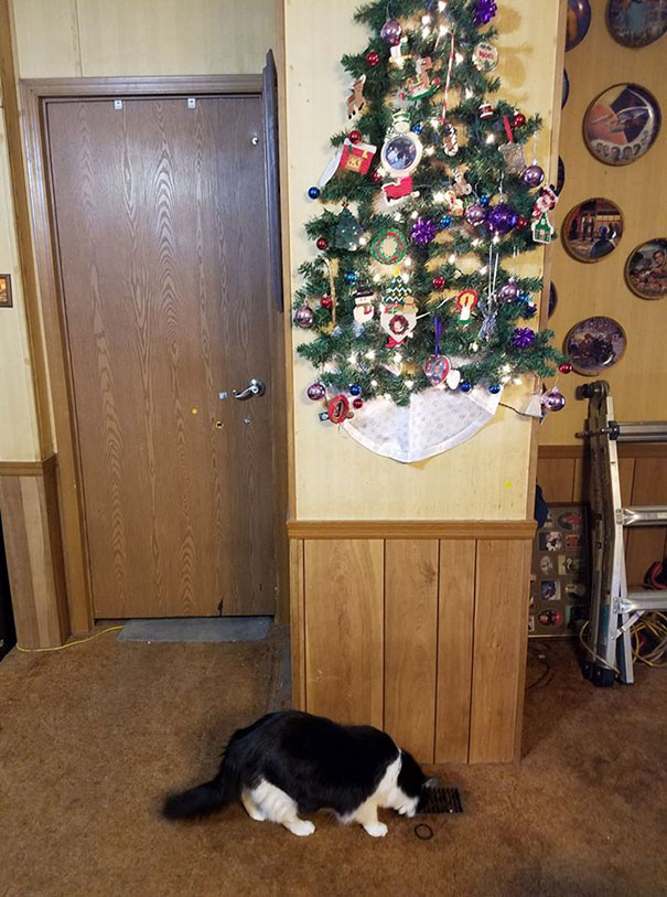 40 hilarious ways owners protect Christmas tree from pets