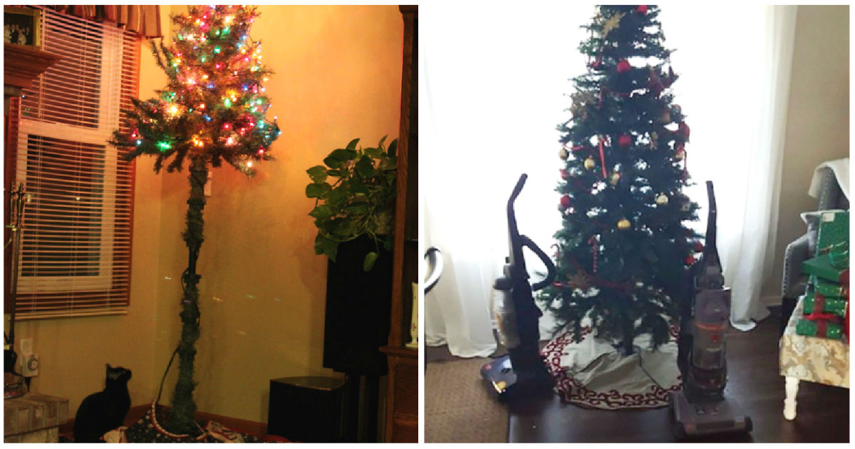 40 hilarious ways owners protect Christmas tree from pets