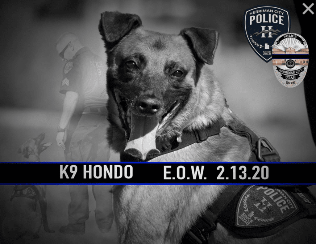 Police dog killed in the line of duty gets special casket for his sacrifice