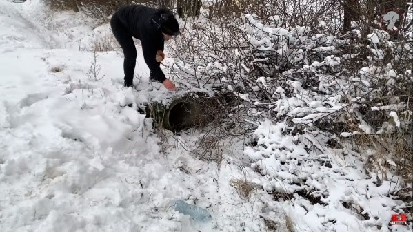 Brave Dog Mom Asks Stranger To Save Her Puppies