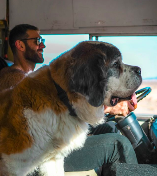 Man Rescuing Dogs Man quits his job to travel the country with his 10 rescue dogs