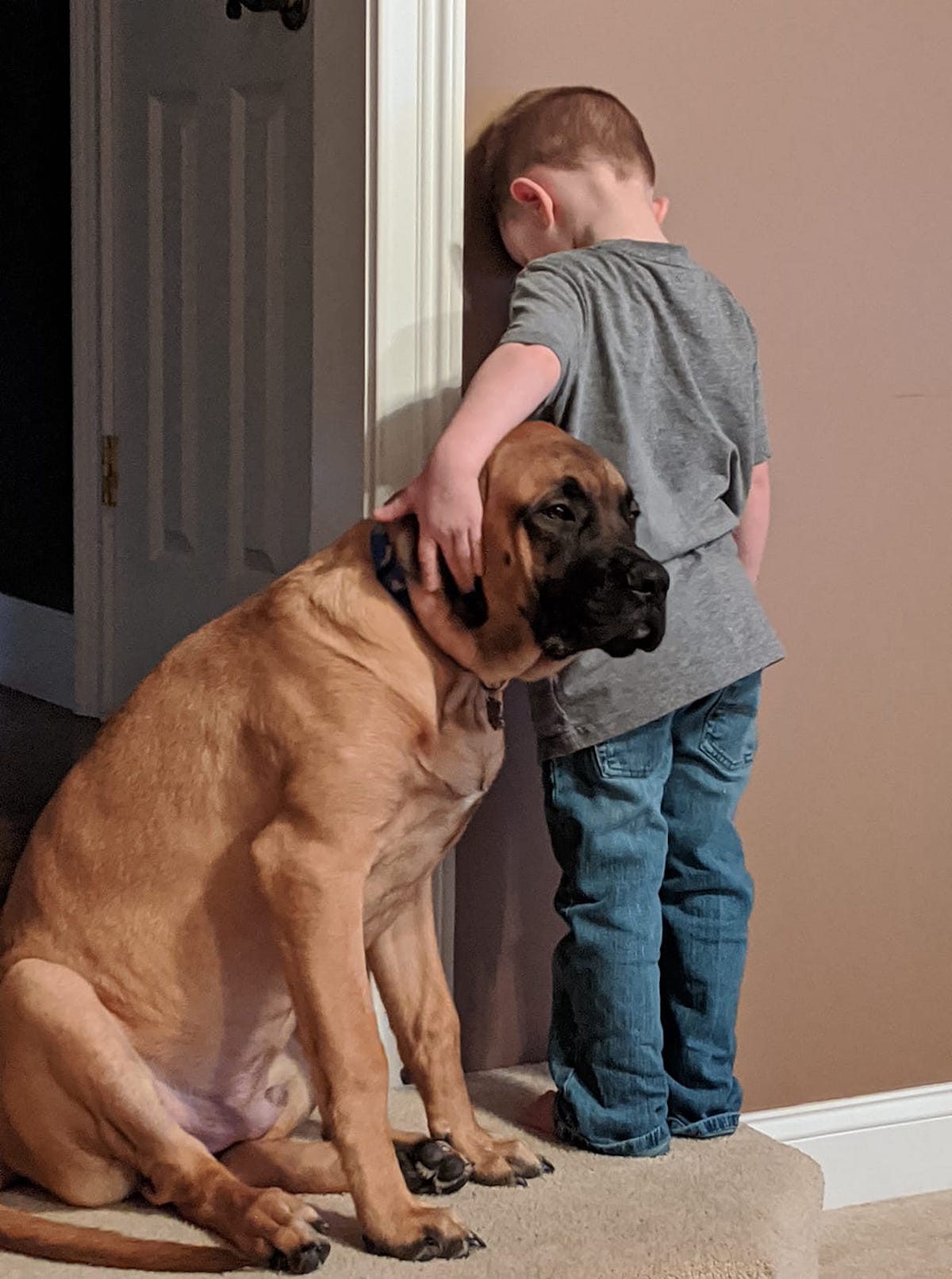 Loyal dog keeps boy company when he's put in time out