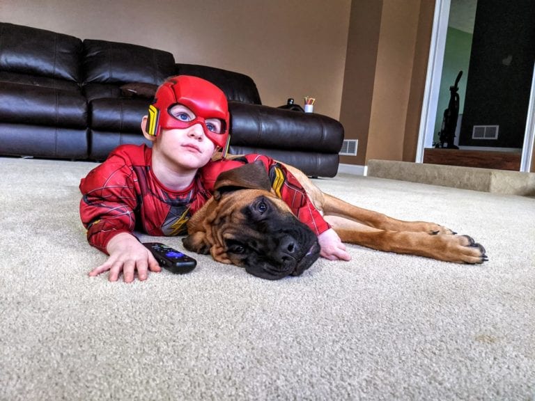 Loyal dog keeps boy company when he's put in time out