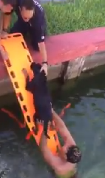Firefighter heroically dives into bay to saves senior dog from drowning