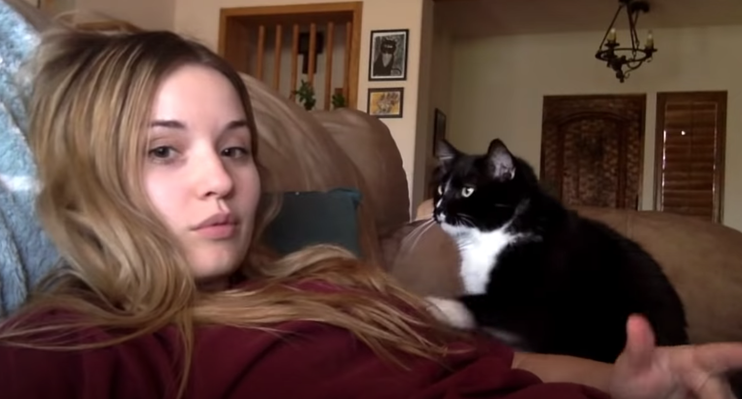 Polite cat has sweetest way of asking owner to pet him