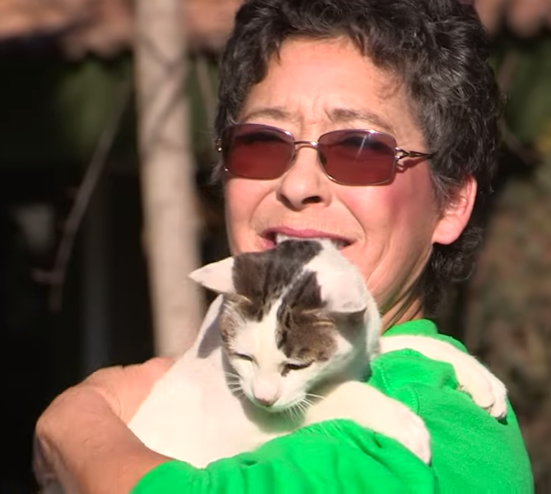 Woman Shares Her Home With Over 1000 Cats