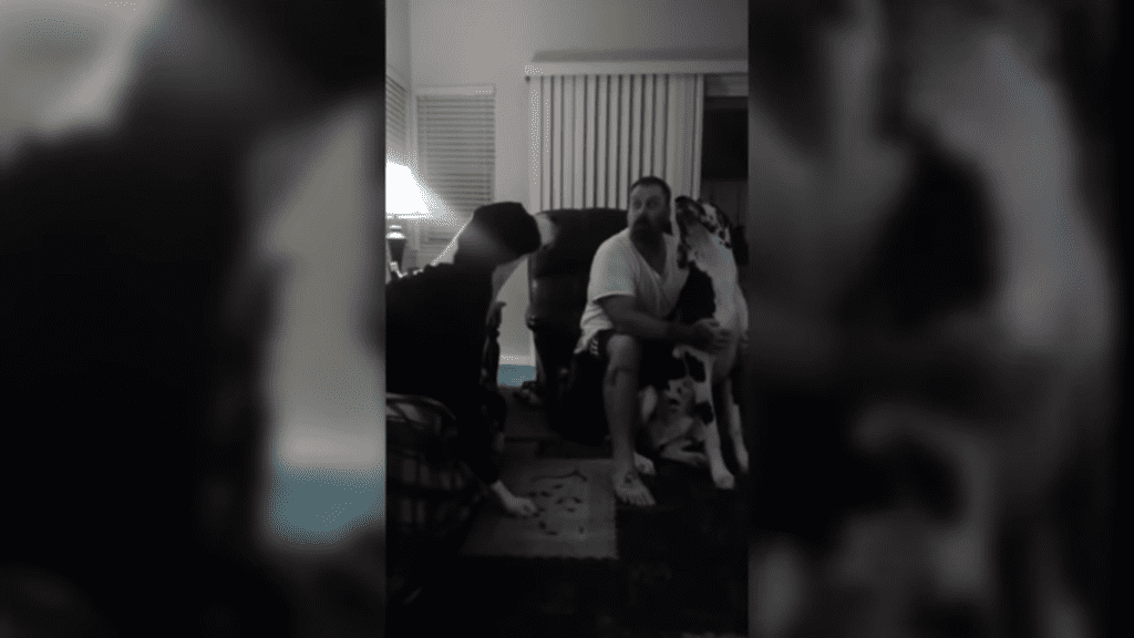 Great Dane throws hilarious tantrum when owner doesn’t pay attention to him