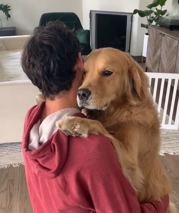60 Pets Whose Stares Prove Their Love - Dog Staring With Love Vs Attention
