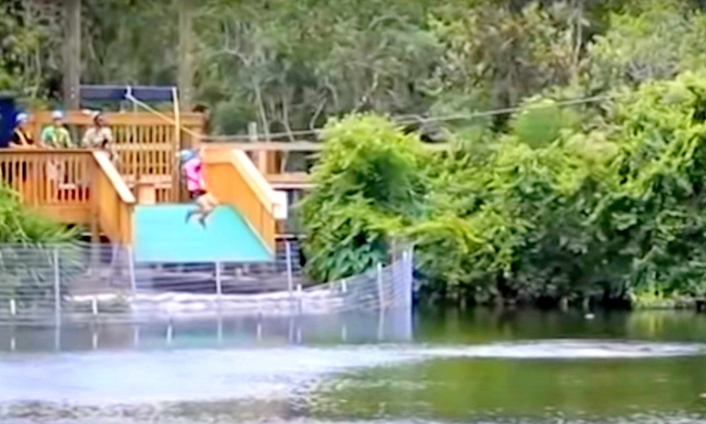 Woman startled as alligator attacks her midway on zipline