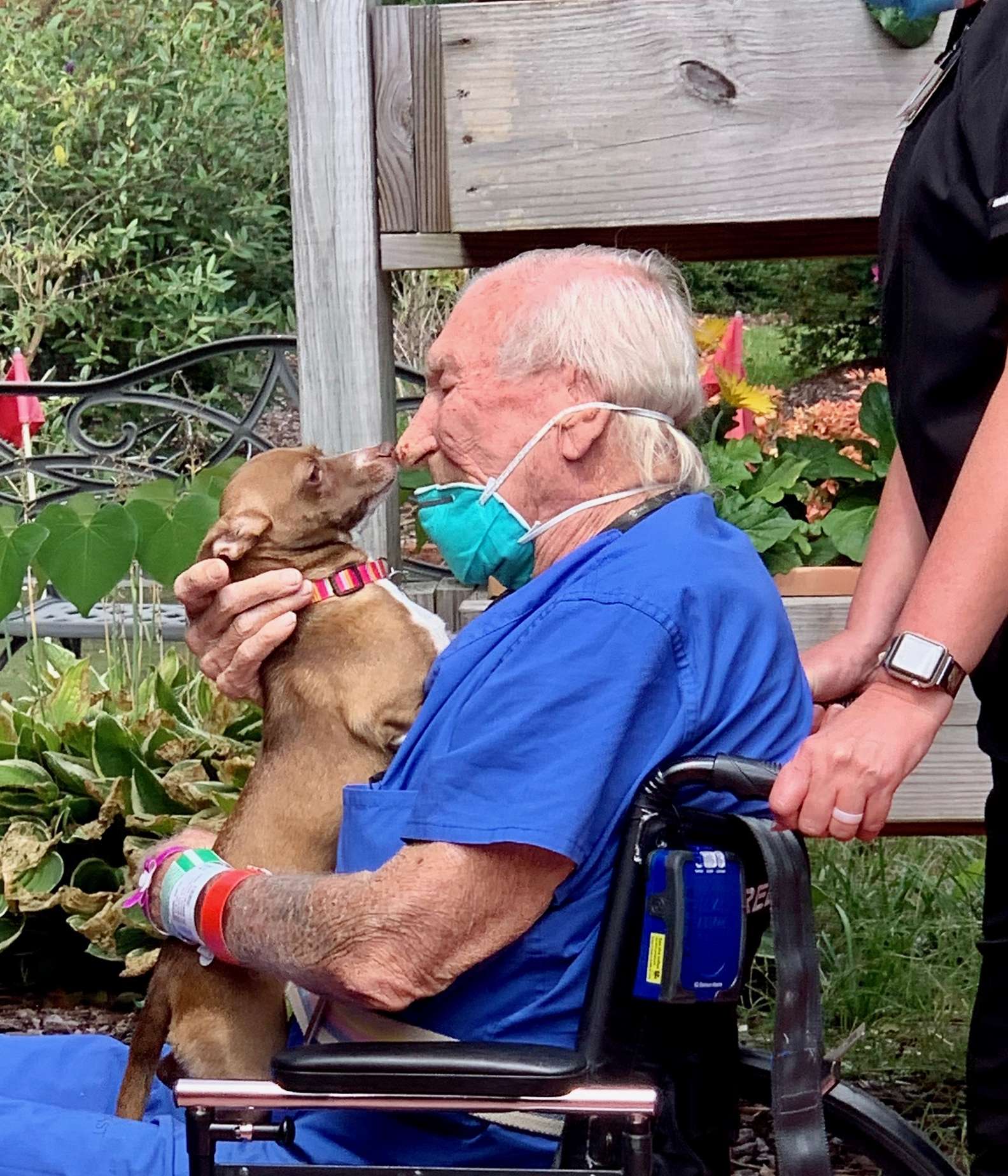 Little Chihuahua saves the life of Navy veteran who’s having a stroke(02)