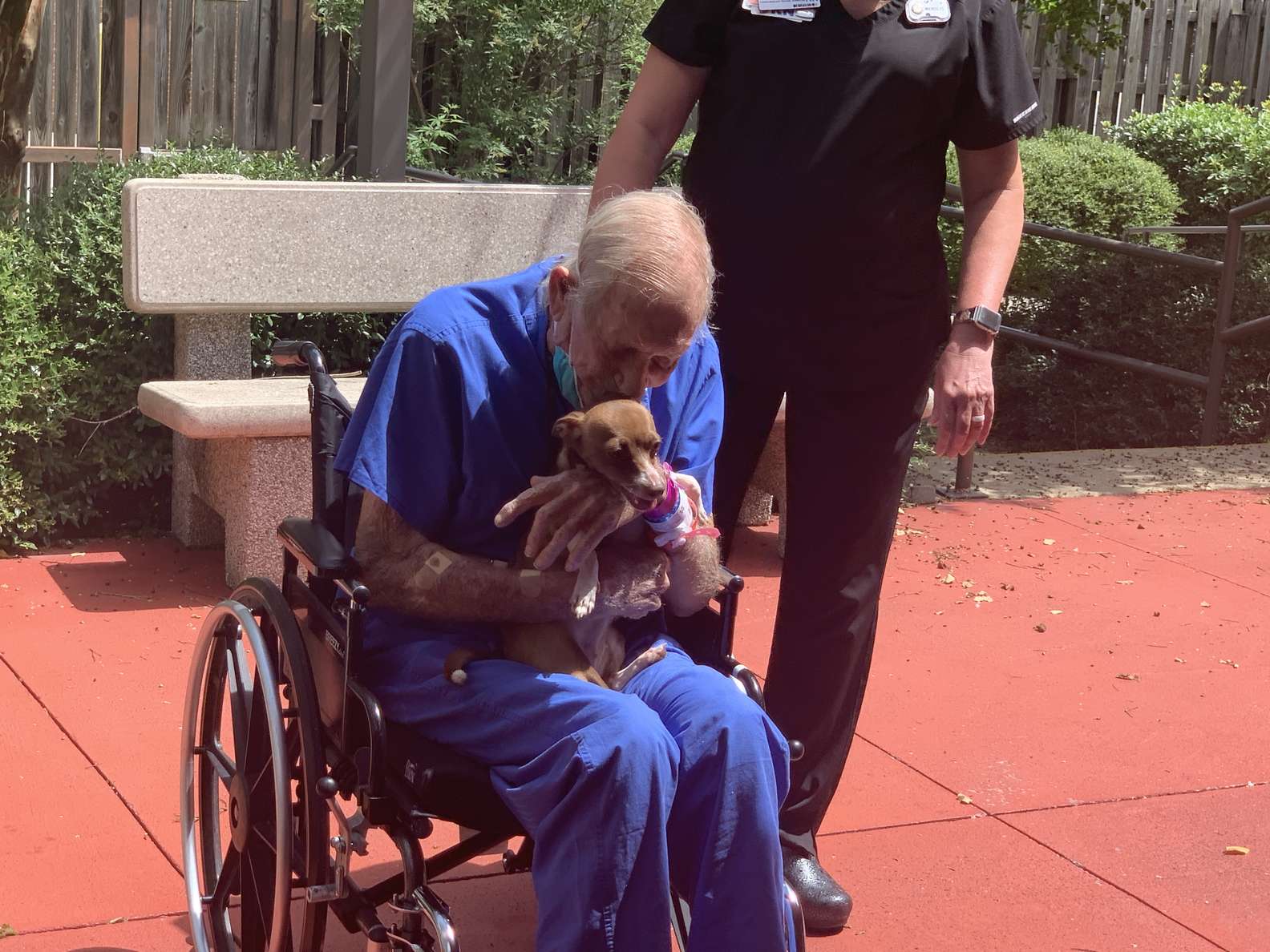 Little Chihuahua saves the life of Navy veteran who’s having a stroke