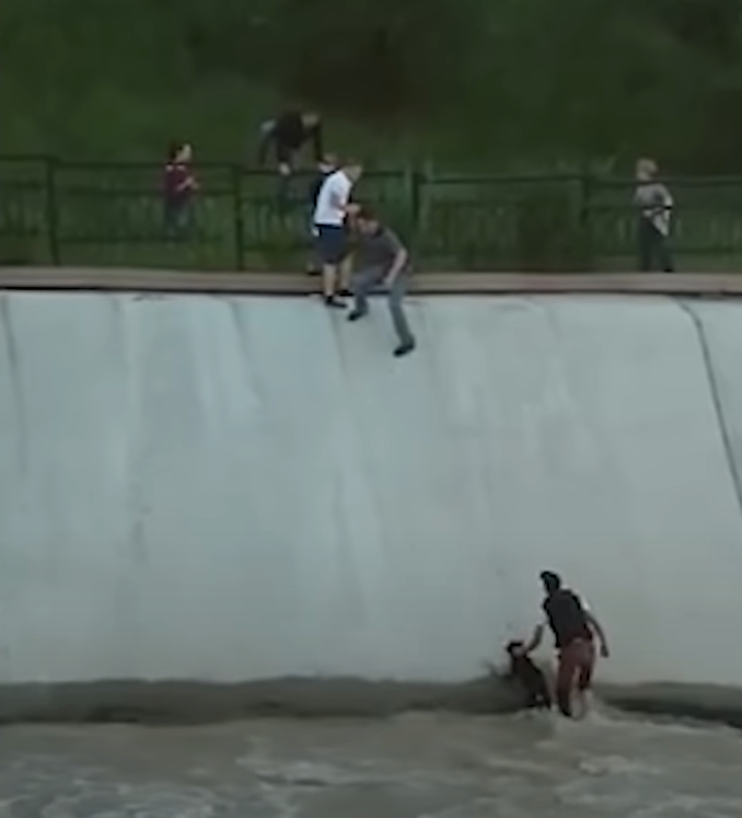 Strangers form human chain to rescue drowning dog and earn 50M views