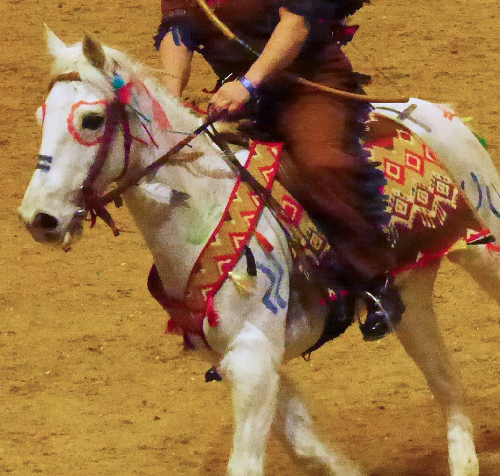 Rare horse born with “medicine hat” markings astonishes ranchers