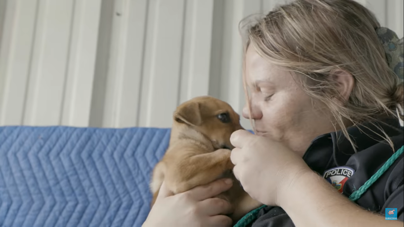 Texas woman takes over animal shelter and brings euthanasia rate from