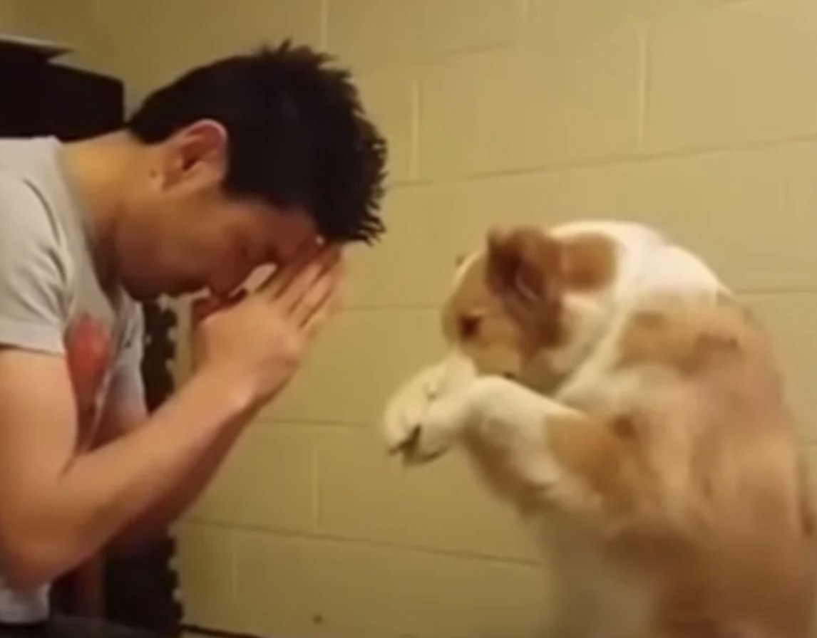 Dog bows his head and prays before eating every meal