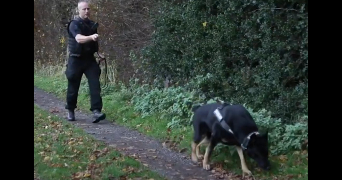 Police dog finds missing woman and her baby in ravine on his first day(00)