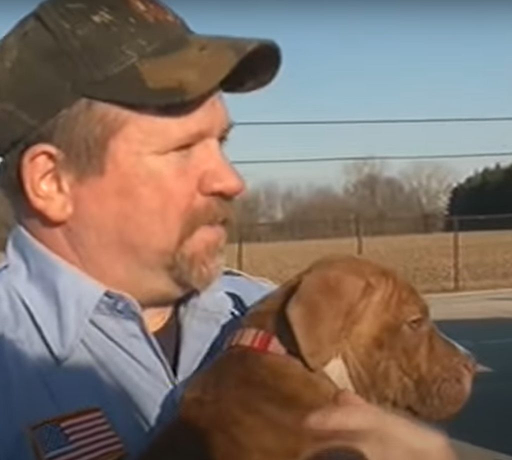 Firefighters reunite with 6 pitbulls they saved from devastating fire