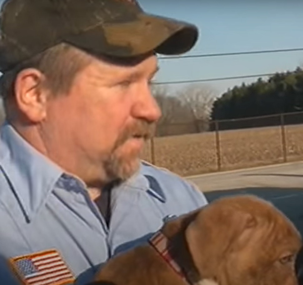 Firefighters reunite with 6 pitbulls they saved from devastating fire