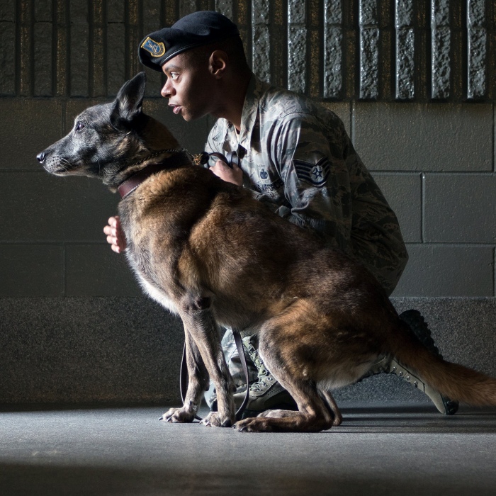 Army vet has emotional reunion with K9 partner 2 years after being ...