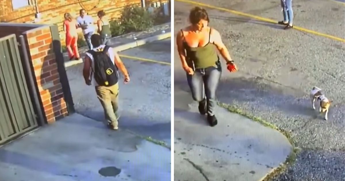 Woman sees man collapse and uses it as opportunity to take his dog