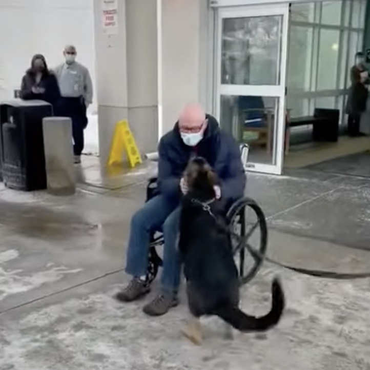 Dog freaks out reuniting with owner whom she kept alive during stroke