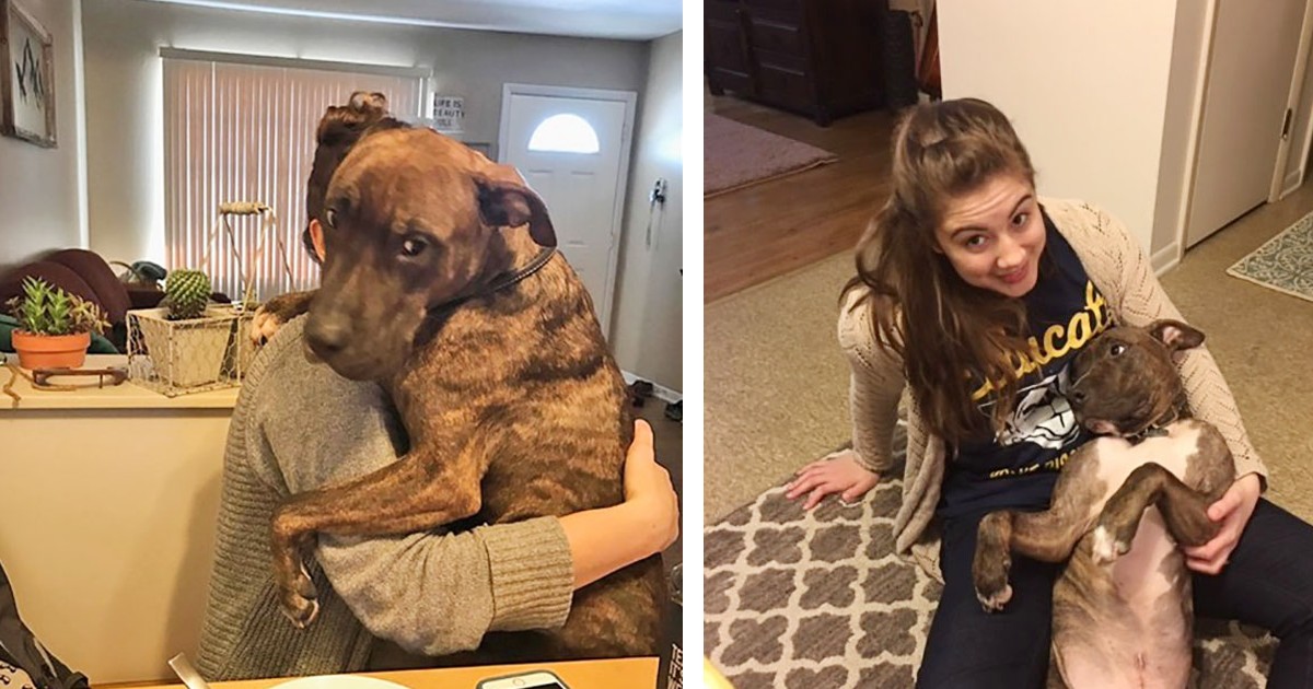 ‘Grateful’ rescue dog hugs mom every day when she gets home