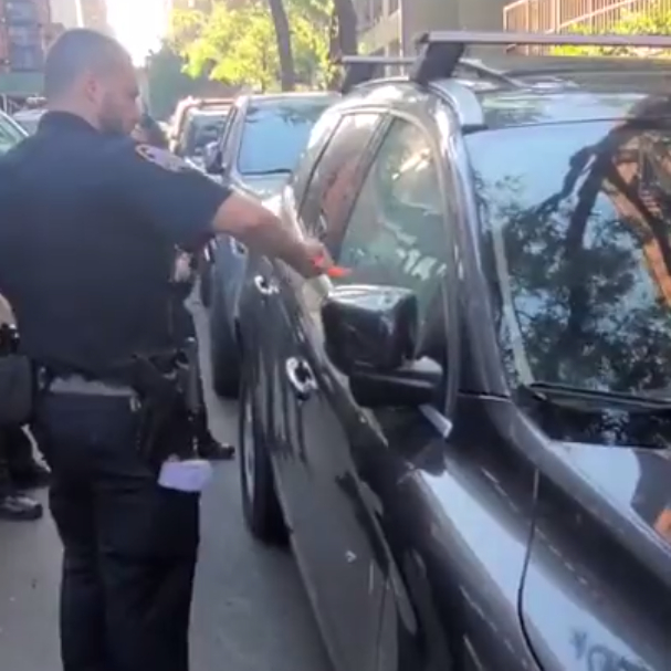 Police officer adopts same dog she rescues from locked hot car