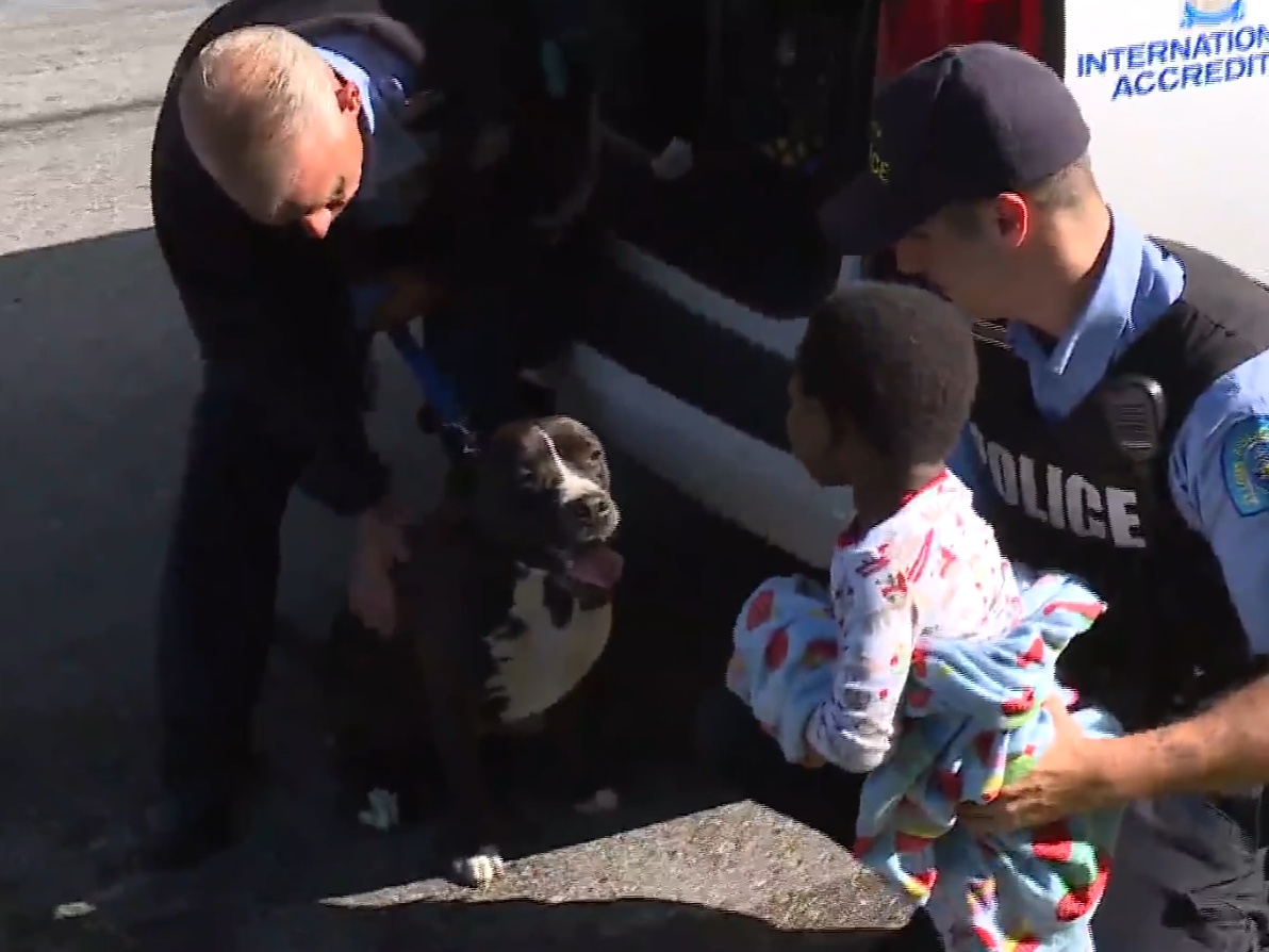 Cops locate a missing 2yearold boy only to realize a stray pit bull