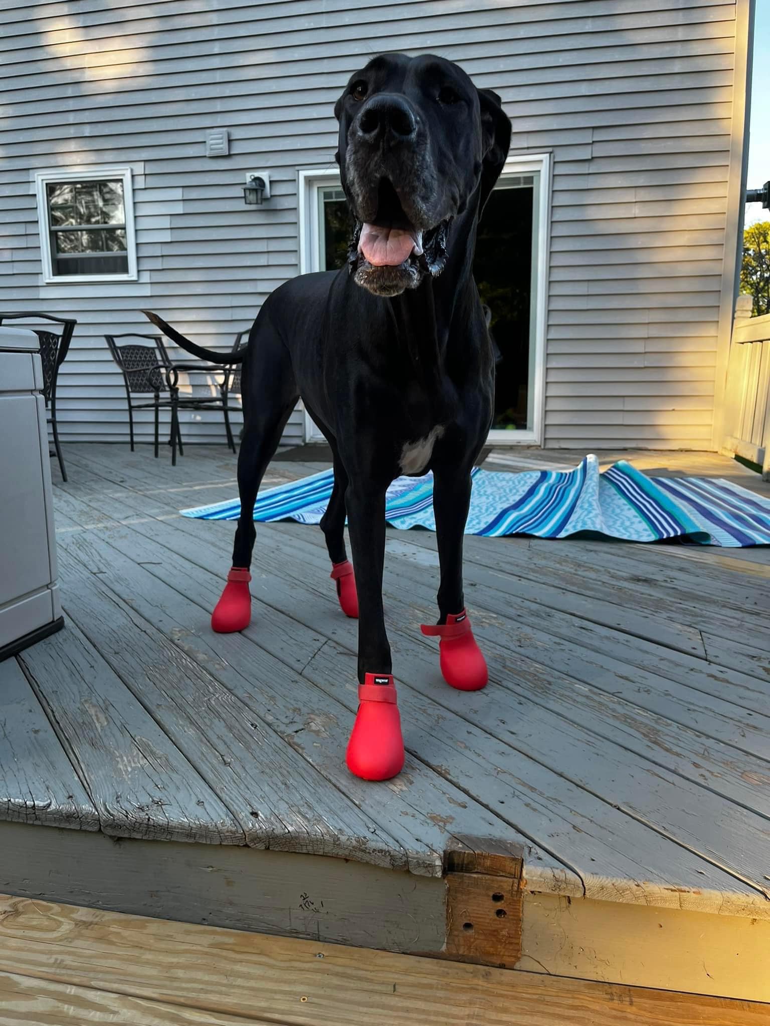 Obsessed With My New Siren Crocs! - s6wcn9d