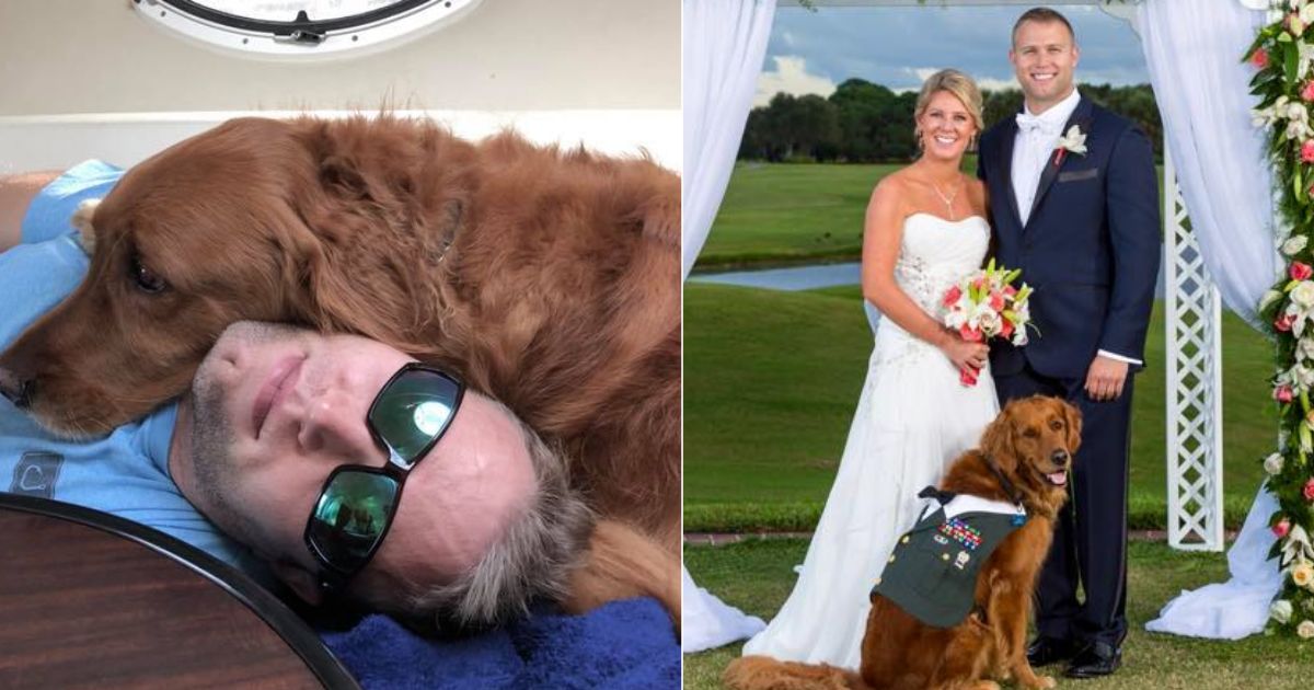 Wounded veteran gets his beloved service dog to serve as best man in