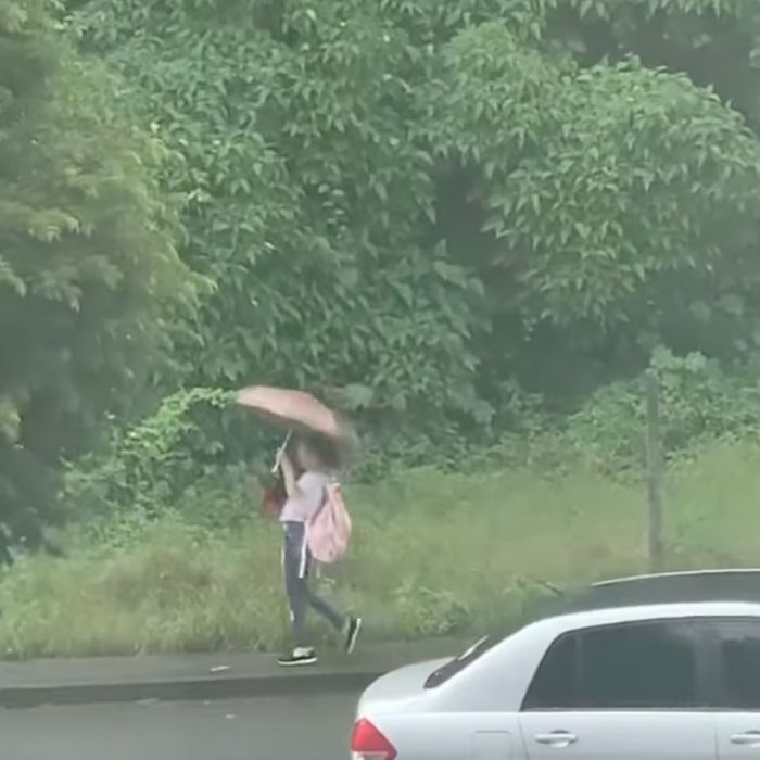 Kindhearted 'angel' spotted saving a stray dog on her way home from school