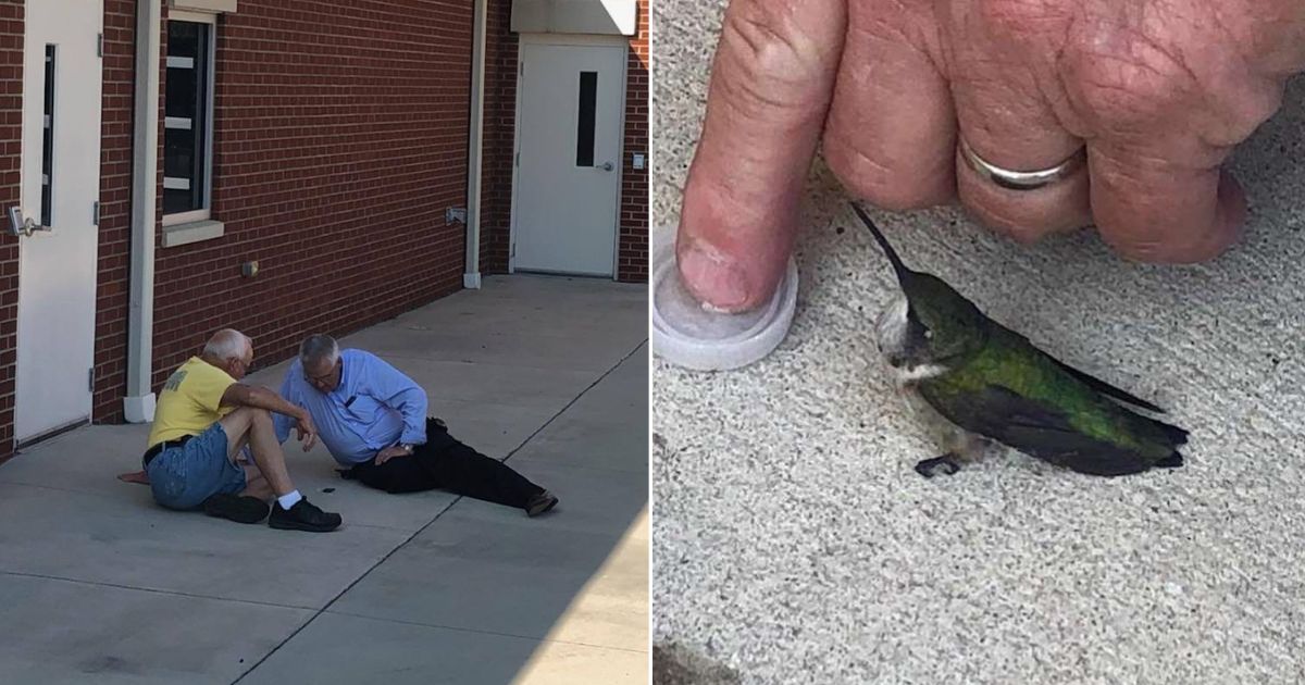 Firefighters go above and beyond to save tiny hummingbird found outside ...