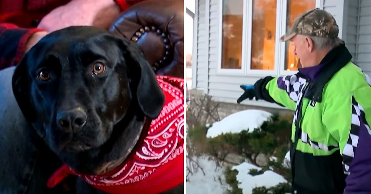 Man notices black lab acting strange and trusts his gut to follow her