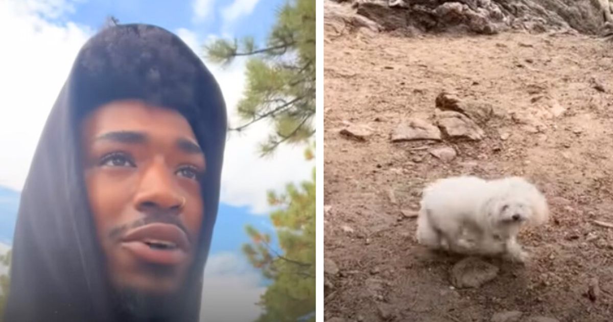 College football player goes for hike and finds abandoned dog and kitten begging for help