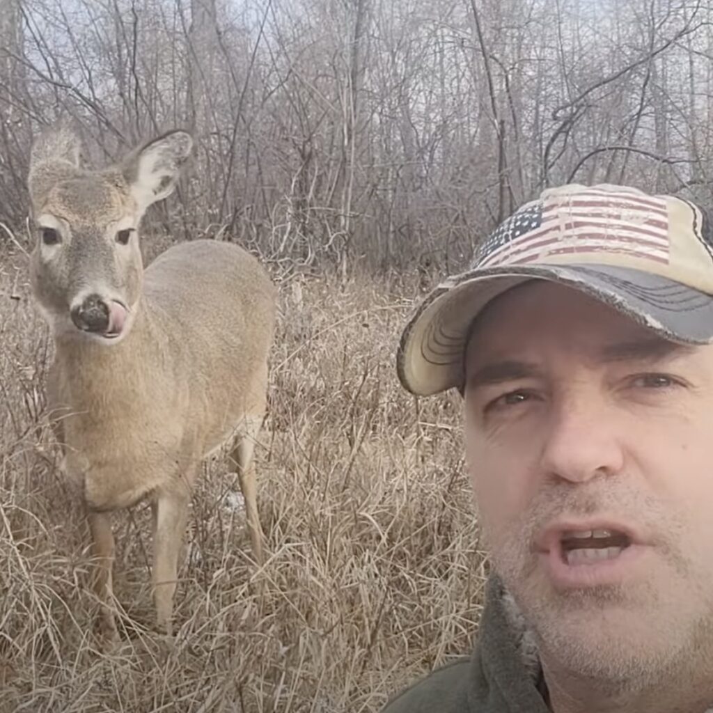 Wild deer gets upset when man doesn’t read him Shakespeare