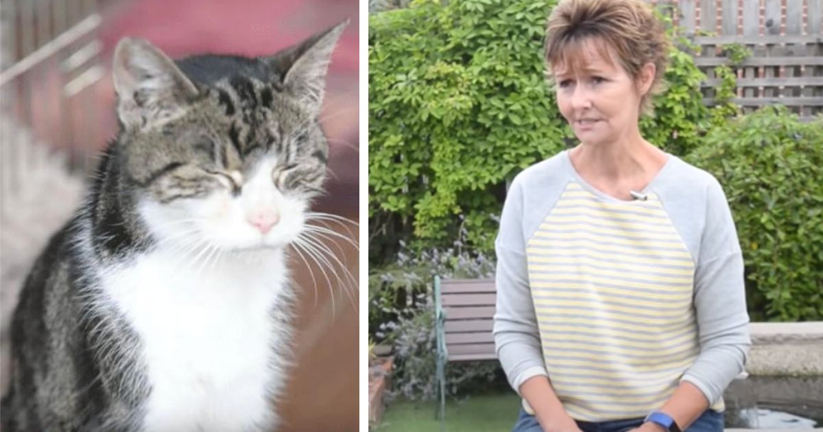 Veterinarian calls woman and utters name that she hasn’t heard in 13 years