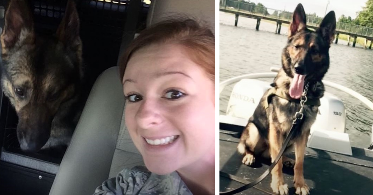 Veteran and former K9 partner have heartwarming reunion 4 years later