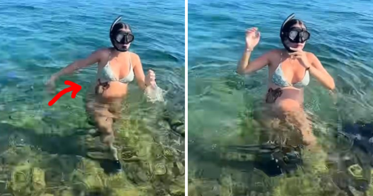 Pregnant woman emerges from water shocked to find creature clinging to belly