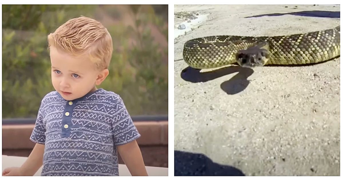 2-yr-old runs to mom after he’s bitten by snake but family can’t see mark until venom takes effect