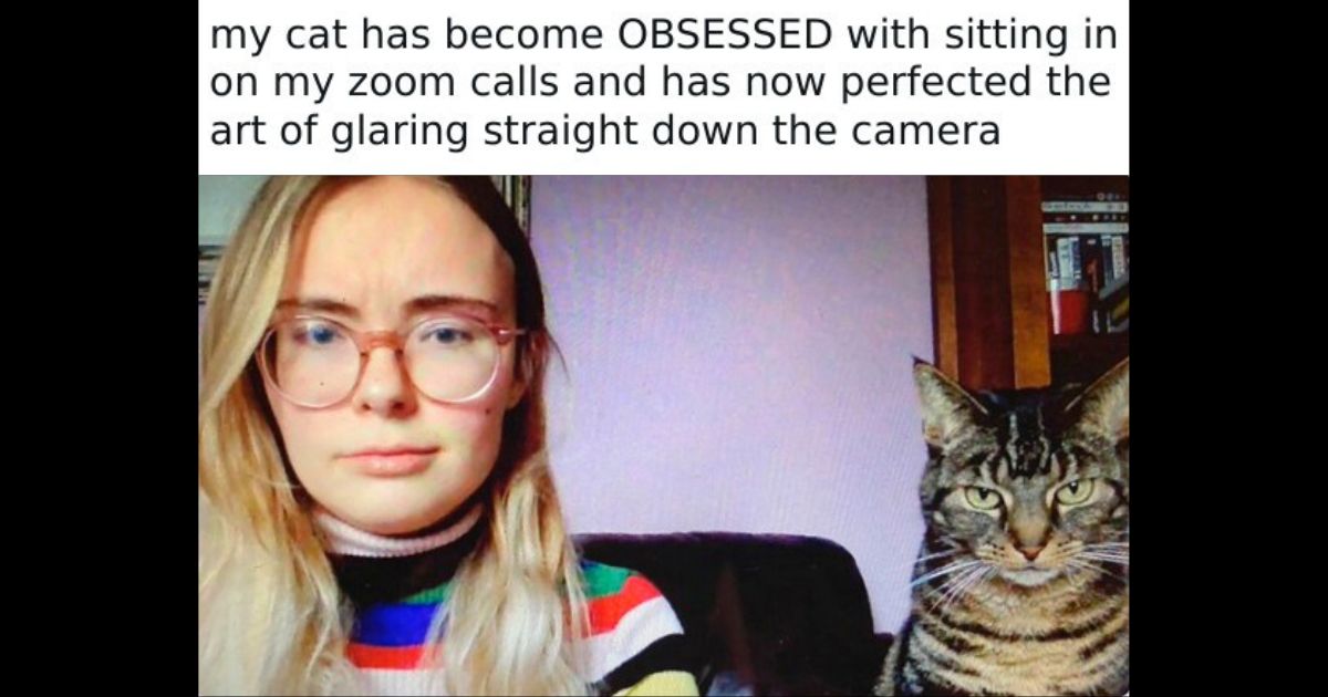 35 Pet Pics That Will Make You Laugh Until You Cry