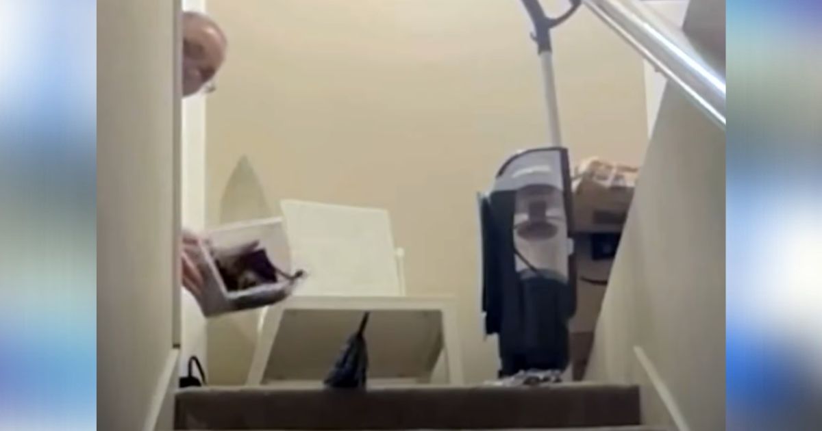 Fed-up woman dumps tarantula down the stairs to get roommate to move out