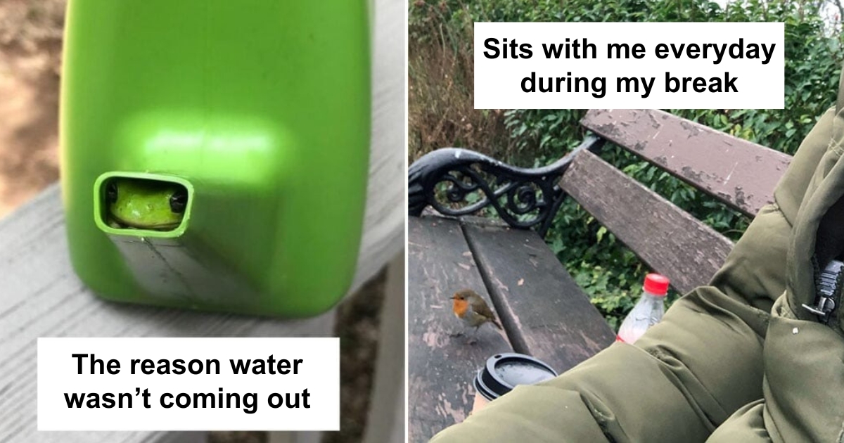 25 Hilariously Cute Animal Pics We Can’t Stop Smiling At
